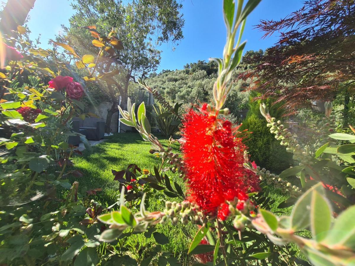 Villa The Garden Volastra Exterior foto